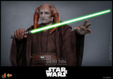 Hot Toys Star Wars Episode III Die Rache der Sith Saesee Tiin 1/6 Actionfigur