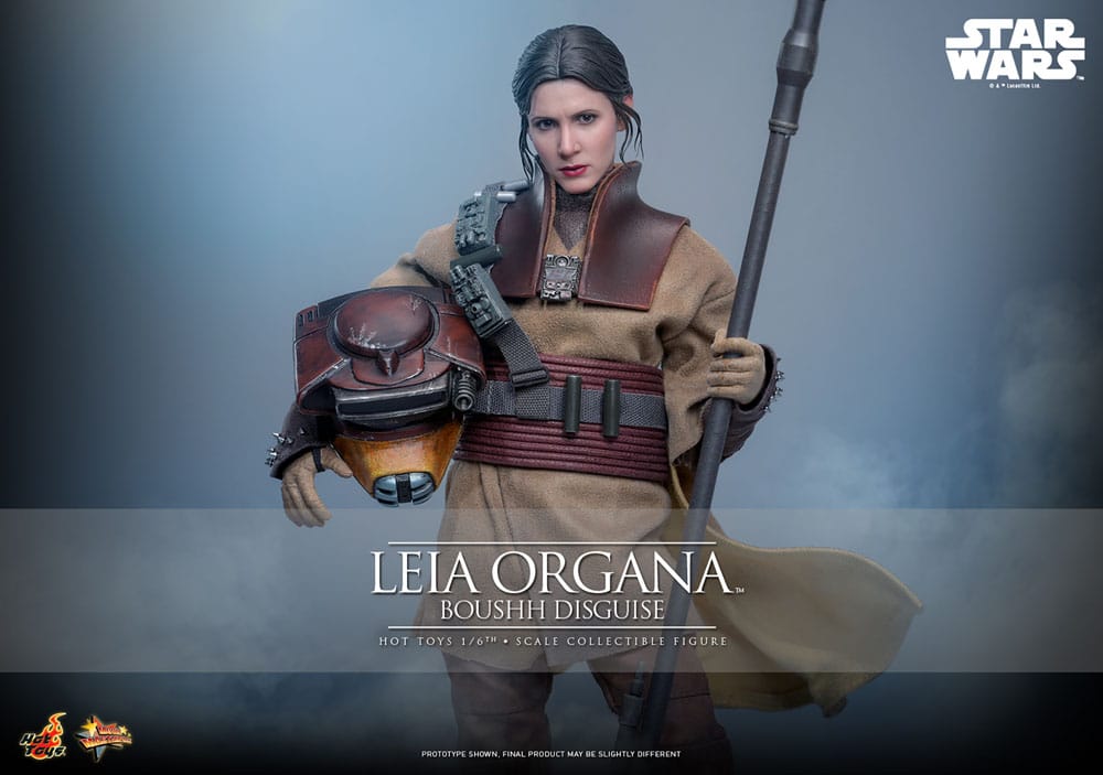 Hot Toys Star Wars Episode VI Leia Organa (Boushh Disguise) 1/6 Actionfigur