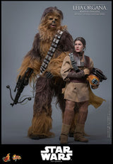 Hot Toys Star Wars Episode VI Movie Masterpiece Actionfigur 1/6 Leia Organa (Boushh Disguise) 27 cm