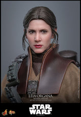 Hot Toys Star Wars Episode VI Movie Masterpiece Actionfigur 1/6 Leia Organa (Boushh Disguise) 27 cm