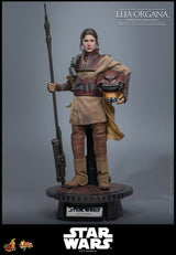 Hot Toys Star Wars Episode VI Movie Masterpiece Actionfigur 1/6 Leia Organa (Boushh Disguise) 27 cm