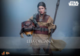Hot Toys Star Wars Episode VI Movie Masterpiece Actionfigur 1/6 Leia Organa (Boushh Disguise) 27 cm