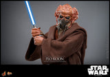 Hot Toys Star Wars Plo Koon 1/6 Actionfigur