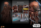 Hot Toys Star Wars Plo Koon 1/6 Actionfigur