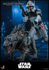 Hot Toys Star Wars: The Clone Wars Actionfigur 1/6 Sergeant Hound 30 cm