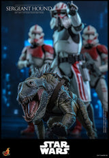 Hot Toys Star Wars: The Clone Wars Actionfigur 1/6 Sergeant Hound 30 cm