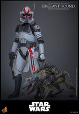 Hot Toys Star Wars: The Clone Wars Actionfigur 1/6 Sergeant Hound 30 cm