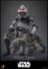 Hot Toys Star Wars: The Clone Wars Actionfigur 1/6 Sergeant Hound 30 cm