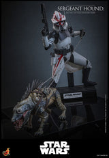 Hot Toys Star Wars: The Clone Wars Actionfigur 1/6 Sergeant Hound 30 cm