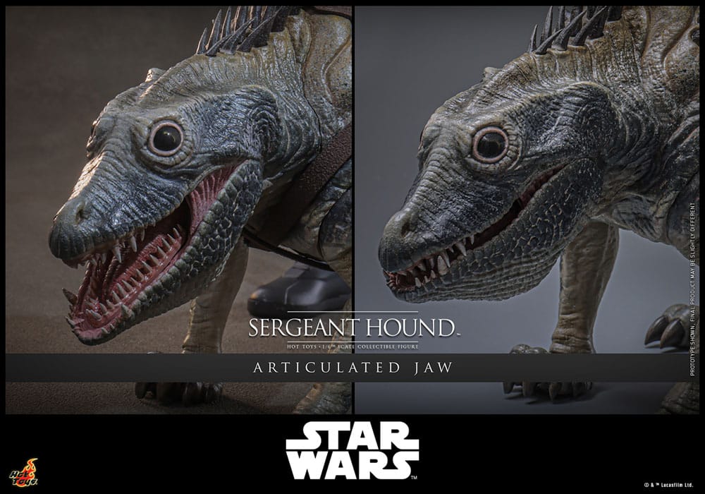 Hot Toys Star Wars: The Clone Wars Actionfigur 1/6 Sergeant Hound 30 cm