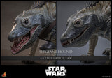 Hot Toys Star Wars: The Clone Wars Actionfigur 1/6 Sergeant Hound 30 cm