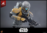 Hot Toys Star Wars The Clone Wars Clone Commando Gregor Exclusive 1/6 Actionfigur