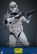 Hot Toys Star Wars The Clone Wars Wolfpack Clone Trooper 104th Battalion Deluxe 1/6 Actionfigur