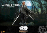 Hot Toys Star Wars The Mandalorian Ahsoka Tano 1/6 Actionfigur Beschädigte Verpackung