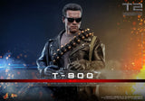 Hot Toys Terminator 2 T-800 2.0 1/6 Actionfigur