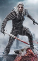 The Witcher