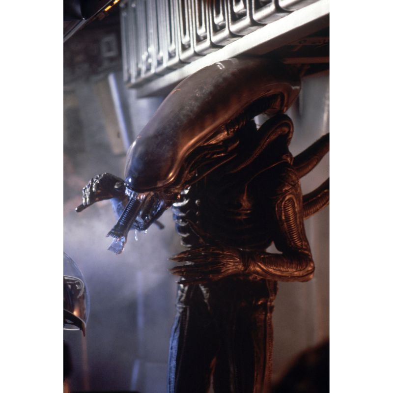 LEONINE Alien 1 4K Ultra HD & Blu-ray