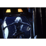 LEONINE Alien 1 4K Ultra HD & Blu-ray