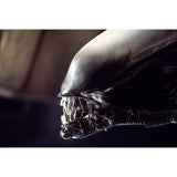 LEONINE Alien 1 4K Ultra HD & Blu-ray