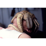 LEONINE Alien 1 4K Ultra HD & Blu-ray
