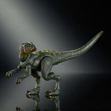 Mattel Jurassic World Hypsilophodon Hammond Collection Actionfigur