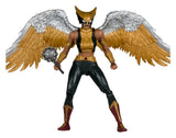 McFarlane Toys DC Multiverse Hawkgirl (Kendra Saunders) McFarlane Collector Edition Actionfigur