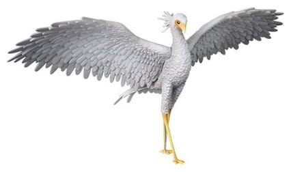 Medicom Flow UDF Secretarybird Figur