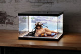Mimeyoi Azur Lane Acryl Display Case mit Beleuchtung für Figur Kashino Hot Springs Relaxation