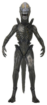 NECA Alien Earth Ultimate Wendy’s Xenomorph Actionfigur