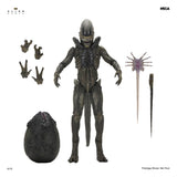 NECA Alien Earth Ultimate Xenomorph Actionfigur