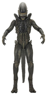 NECA Alien Earth Ultimate Xenomorph Actionfigur