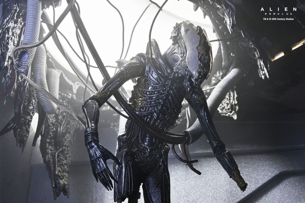 NECA Alien Romulus Suspended Lab Xenomorph XX121 Deluxe Actionfigur 18 cm