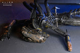 NECA Alien Romulus Suspended Lab Xenomorph XX121 Deluxe Actionfigur 18 cm