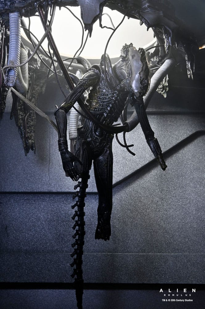 NECA Alien Romulus Suspended Lab Xenomorph XX121 Deluxe Actionfigur 18 cm