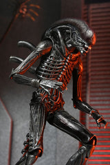 NECA Alien - Romulus Ultimate Xenomorph XX121 Actionfigur