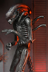 NECA Alien - Romulus Ultimate Xenomorph XX121 Actionfigur
