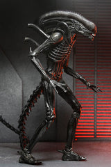 NECA Alien - Romulus Ultimate Xenomorph XX121 Actionfigur