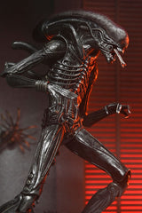 NECA Alien - Romulus Ultimate Xenomorph XX121 Actionfigur