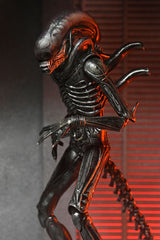 NECA Alien - Romulus Ultimate Xenomorph XX121 Actionfigur