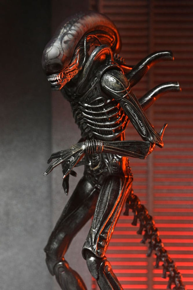 NECA Alien - Romulus Ultimate Xenomorph XX121 Actionfigur