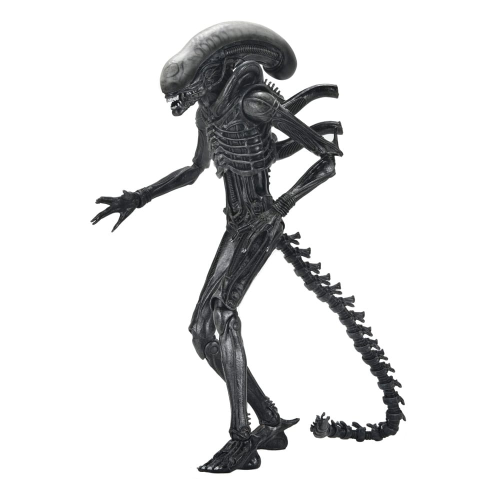 NECA Alien - Romulus Ultimate Xenomorph XX121 Actionfigur