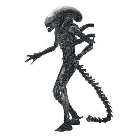 NECA Alien - Romulus Ultimate Xenomorph XX121 Actionfigur
