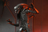 NECA Alien - Romulus Ultimate Xenomorph XX121 Actionfigur