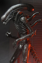 NECA Alien - Romulus Ultimate Xenomorph XX121 Actionfigur