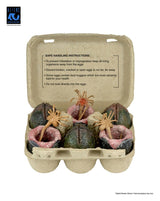 NECA Aliens Carton of Alien Eggs (40th Anniversary) 6er-Pack Zubehör-Set