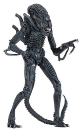 NECA Aliens Ultimate Actionfigur Warrior (1986) Blue 23 cm