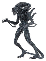 NECA Aliens Ultimate Actionfigur Warrior (1986) Blue 23 cm