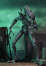 NECA Aliens Ultimate Actionfigur Warrior (1986) Blue 23 cm