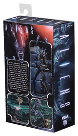 NECA Aliens Ultimate Actionfigur Warrior (1986) Blue 23 cm