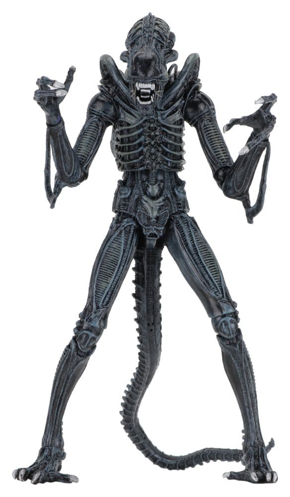 NECA Aliens Ultimate Actionfigur Warrior (1986) Blue 23 cm